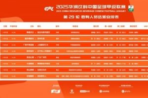 中甲第29轮裁判：邢琦吹重庆铜梁龙vs苏州东吴，5场比赛设有VAR图片